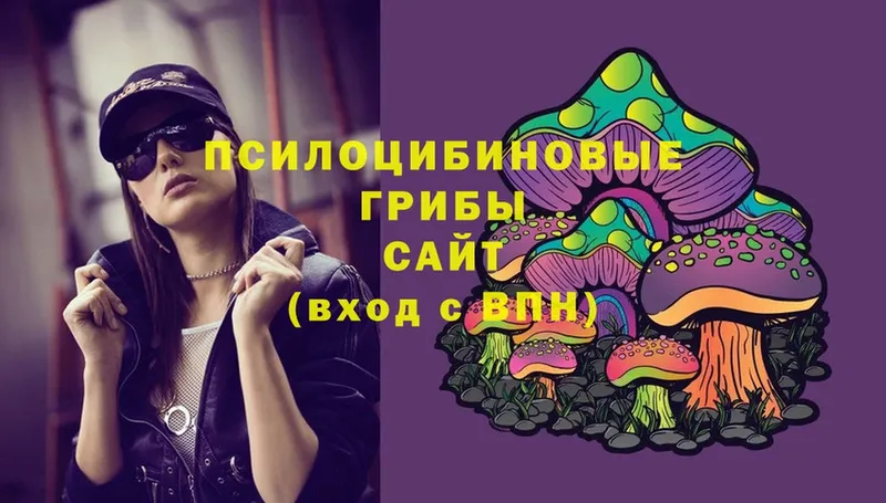 купить   Киселёвск  Псилоцибиновые грибы Cubensis 